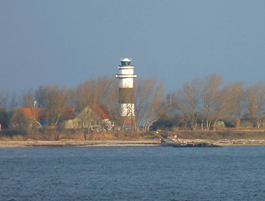 D | Bülk