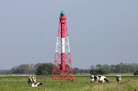 D | Großerpater (Oberfeuer)