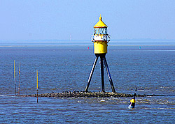 Langlütjennordsteert