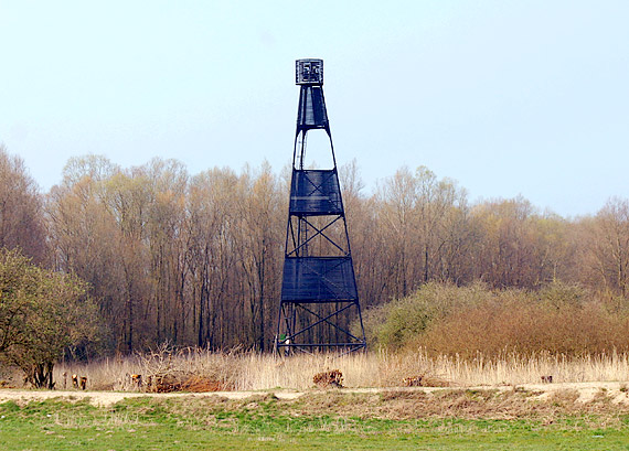 D | Soltplate (Oberfeuer)