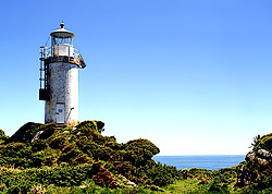 Cape Foulwind 