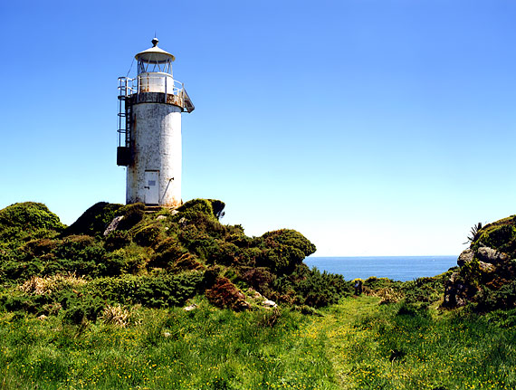 NZ | Cape Foulwind 
