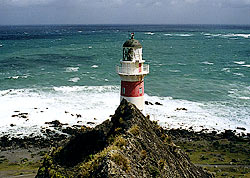 Cape Palliser 