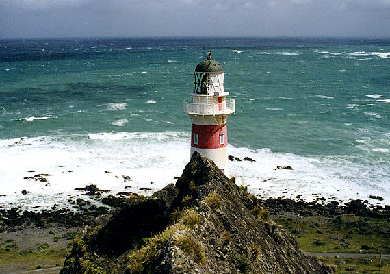 NZ | Cape Palliser 
