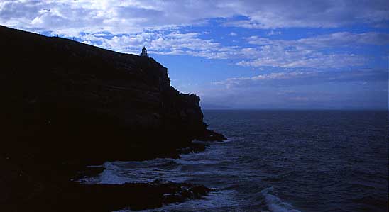 NZ | Taiaroa Head