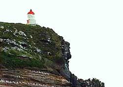 Taiaroa Head