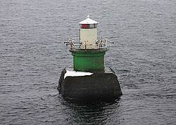 Brandnäsbrotten