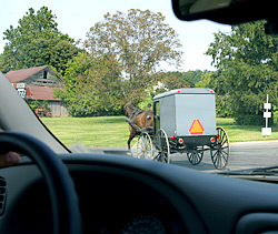 Amish Buggy | Rechte: M. Werning / leuchttuerme.net