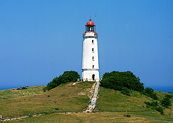 Dornbusch