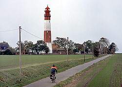 Flügge