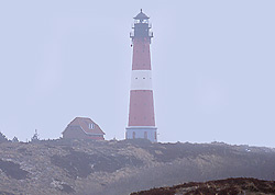 Hörnum
