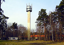 Prora